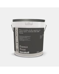 PITTURA EXENCE PAINT WHITE BC/MB LT. 14
