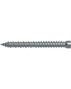 VITE IN ACCIAO PER MURO FFSZ 7,5 (100 PZ)
